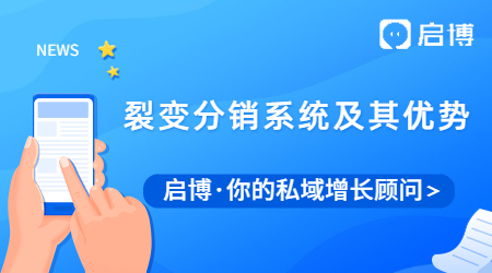 如何做營銷？建議先了解裂變分銷系統及其優勢